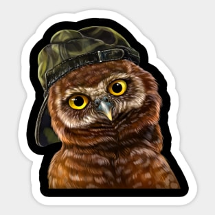 Owl in a cap Sticker